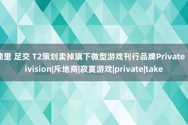 楠里 足交 T2策划卖掉旗下微型游戏刊行品牌Private Division|斥地商|寂寞游戏|private|take
