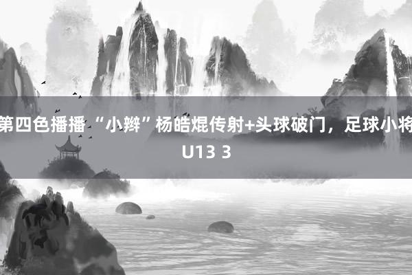 第四色播播 “小辫”杨皓焜传射+头球破门,足球小将U13 3