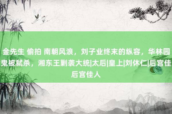 金先生 偷拍 南朝风浪，刘子业终末的纵容，华林园射鬼被弑杀，湘东王剿袭大统|太后|皇上|刘休仁|后宫佳人