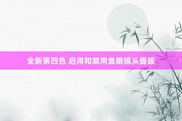 全新第四色 启用和禁用鱼眼镜头提拔