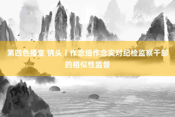 第四色播室 镜头丨作念细作念实对纪检监察干部的相似性监督